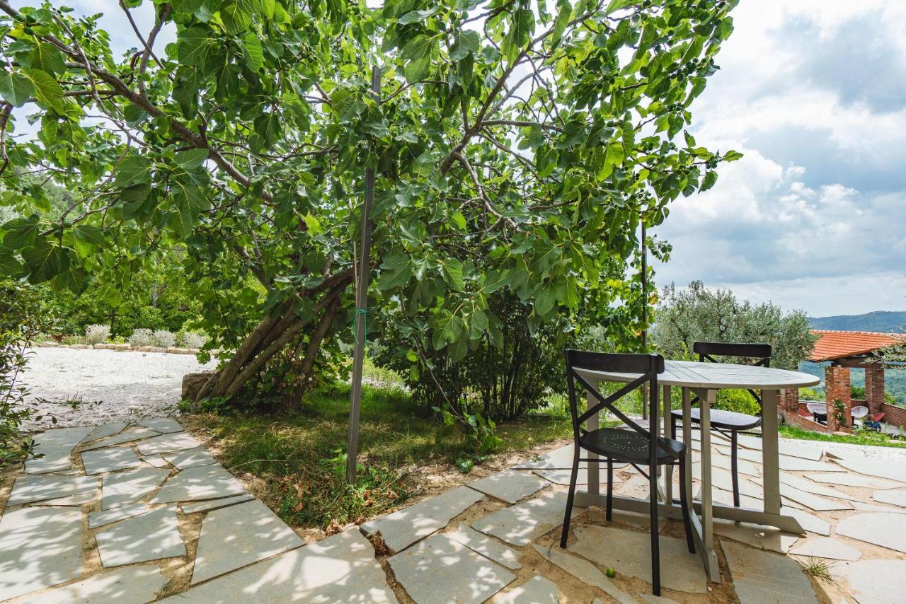 Agriturismo Le Fonti Pontassieve Exterior photo